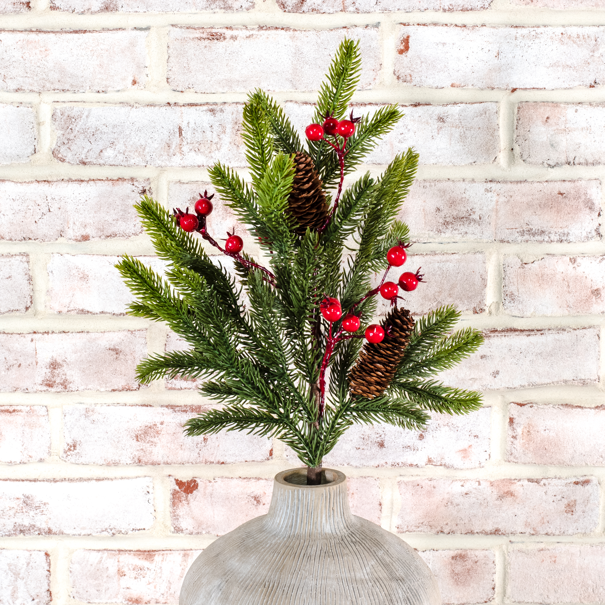 RED BERRY SPRUCE STEM