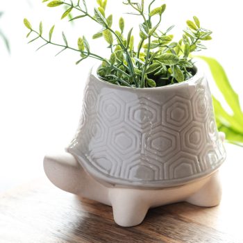 TURTLE PLANTER