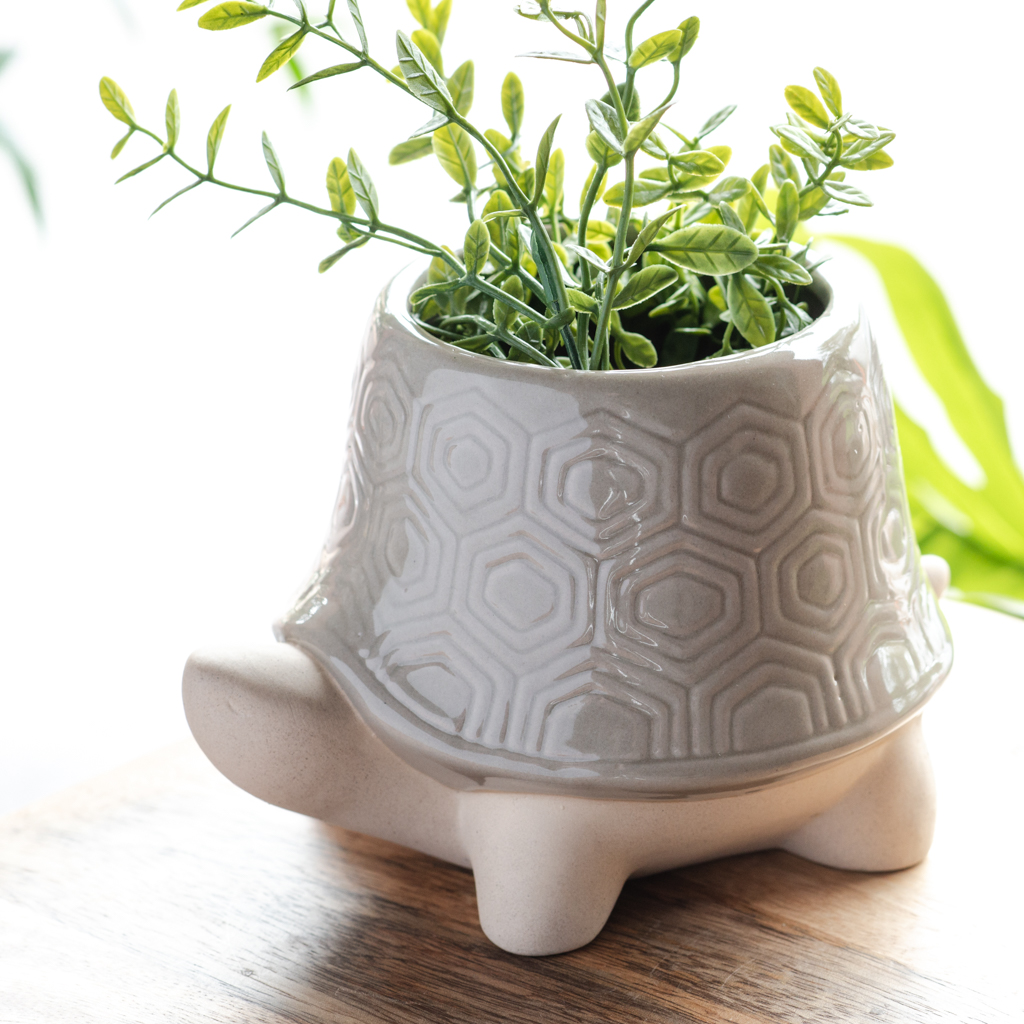 TURTLE PLANTER