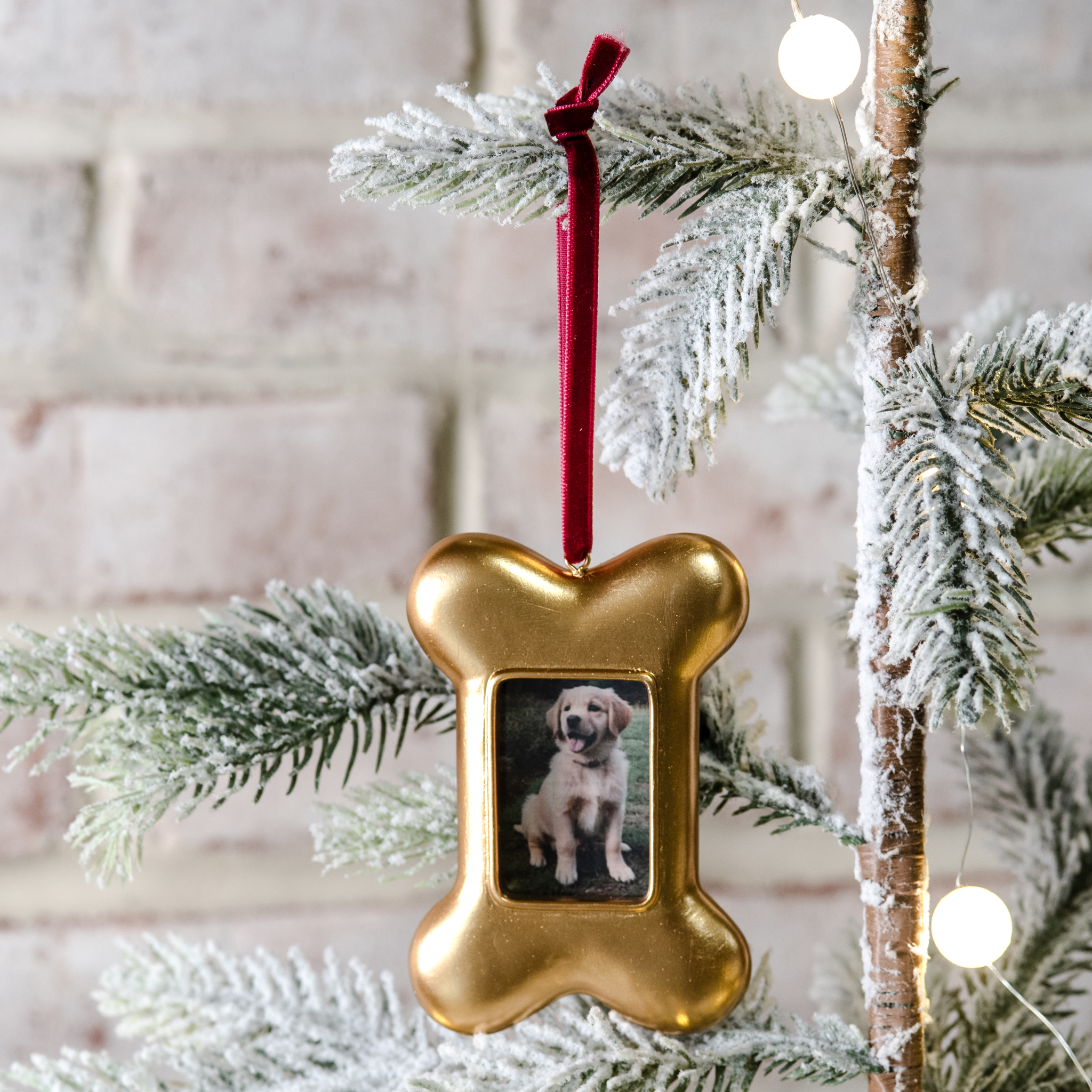 DOG BONE FRAME ORNAMENT