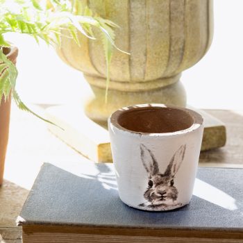3" BUNNY PLANTER