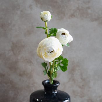 16.5" WHITE RANUNCULUS STEM