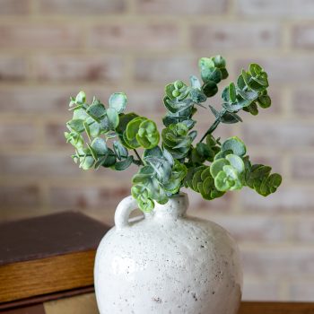 13.8" EUCALYPTUS STEM