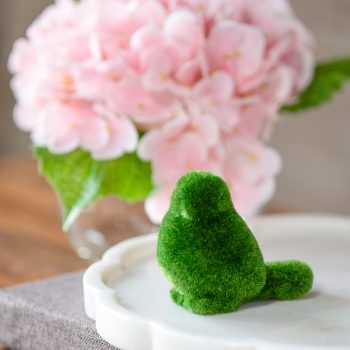 GREEN MOSS SITTING BIRD