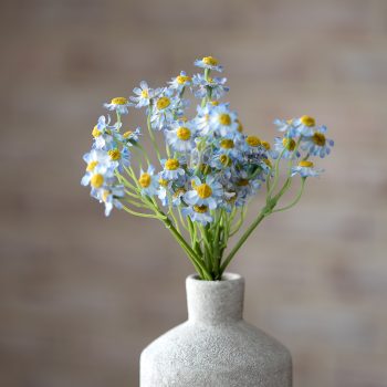 11" MINI BLUE DAISY BUNCH