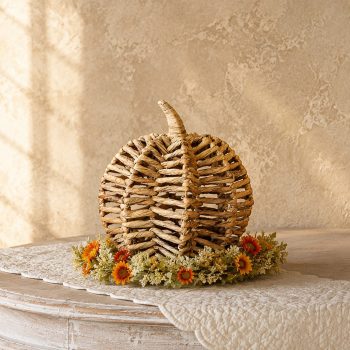 11.8" WATER HYACINTH PUMPKIN