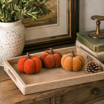 WARM COLORED MINI VELVET PUMPKINS - SET OF 3